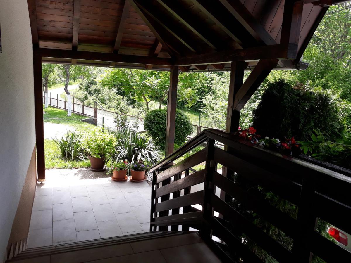 בית הארחה סליסטה דרזניקו 	House Zlatko מראה חיצוני תמונה